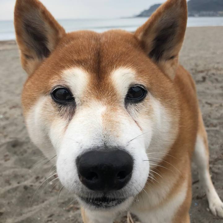 E82ba31f 7c94 4778 9ea0 89348a6bdf9f 1542265577120