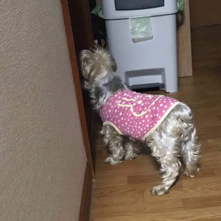 E82c1225 a362 4cb4 a343 0978ac9df82c 1555322622790