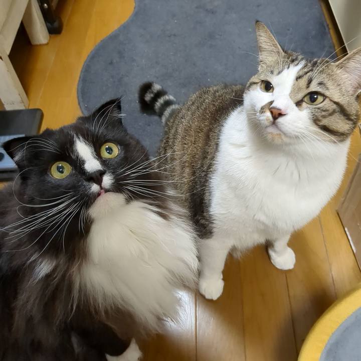 E82c4f2c 03d3 4d7e 821c f7bc13b0ff94 1672237105730