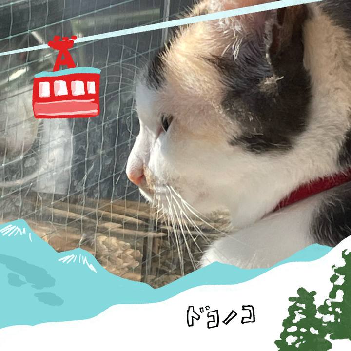 E82c7ac8 9395 471e a64b 14f6e95e46ed 1706838127618