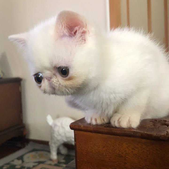 E82c7f35 fa96 420b 9d57 3aa7d27fef38 1542970741745