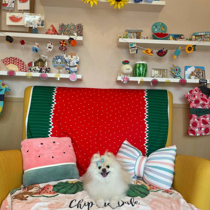 E82caa92 b312 4546 9799 f61bca0ad6a9 1628479859482