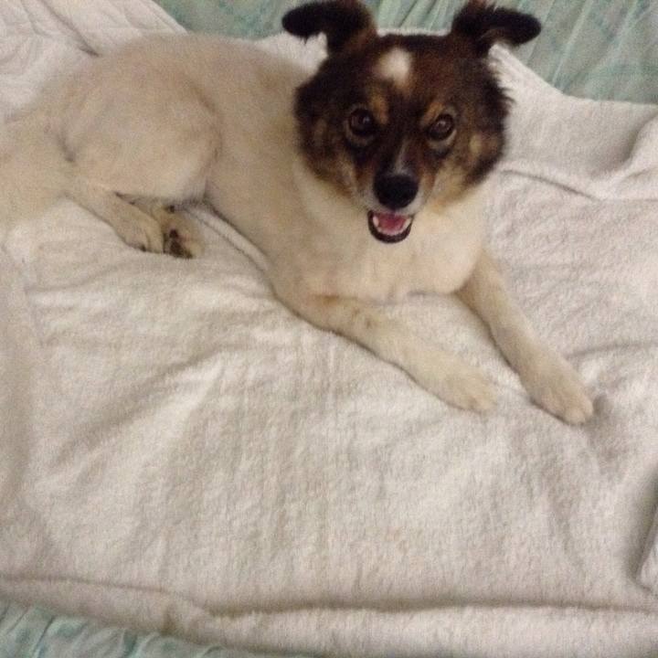 E82cb352 ba73 4e47 bcd0 293f50c11c49 1530081665122