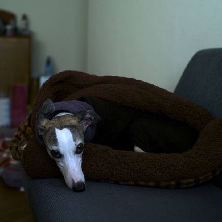 E82cfed4 057b 4e99 b061 58e09087c328 1512644818876