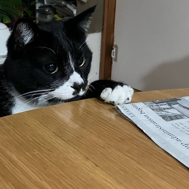 E82d02b5 25bc 4a42 8154 08f71df5f696 1747710489929