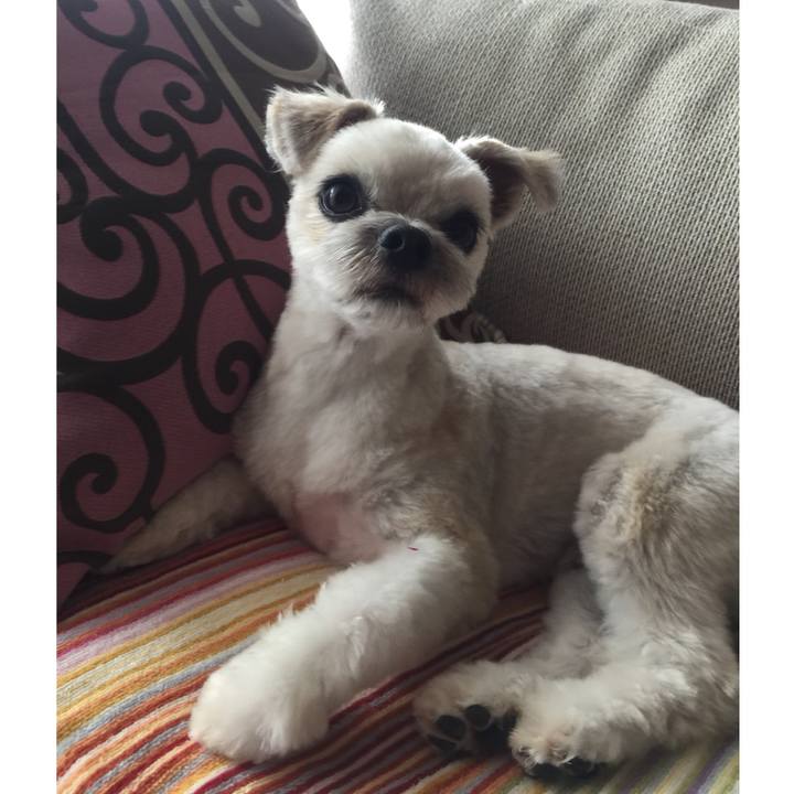 E82d9b67 0424 47e1 a7c6 7badcabde4e6 1527761985352