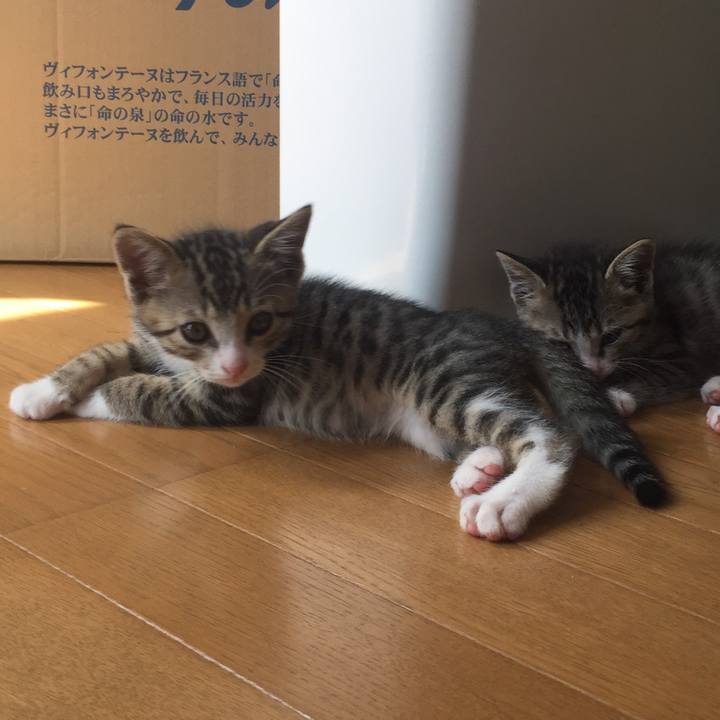 E82db5e4 375f 45a5 8565 9814072d5fa1 1652588137606