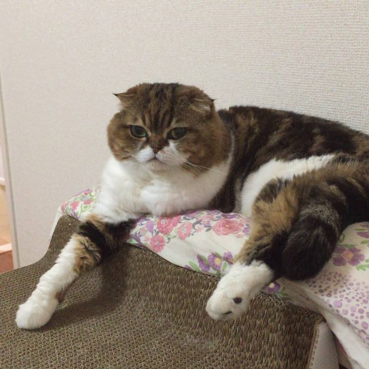 E82db958 1b77 4e69 83ca 1de176307cbc 1536123601759