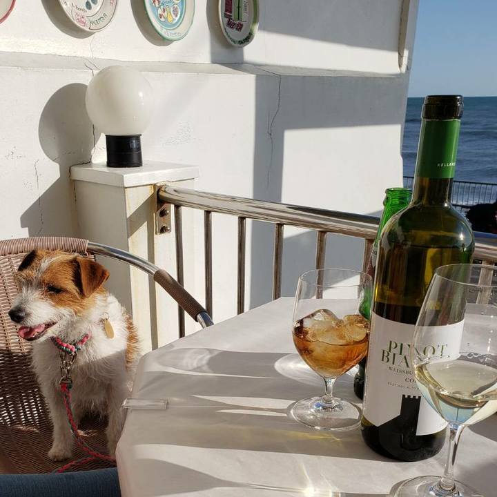 E82de226 3d2d 483c 9159 993f905161d9 1582458346087