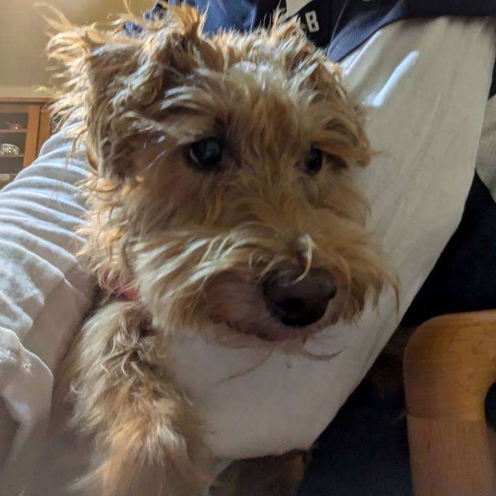 E82e1d9e 8d60 4ae8 af66 265f9383a90b 1730935479346