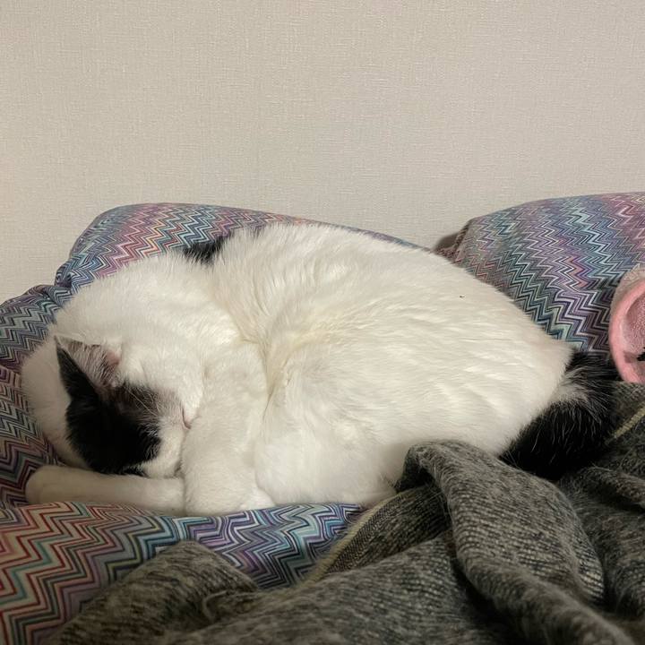 E82e658c 7d4d 4cda a4c9 a66fcfbd5efb 1649256129435