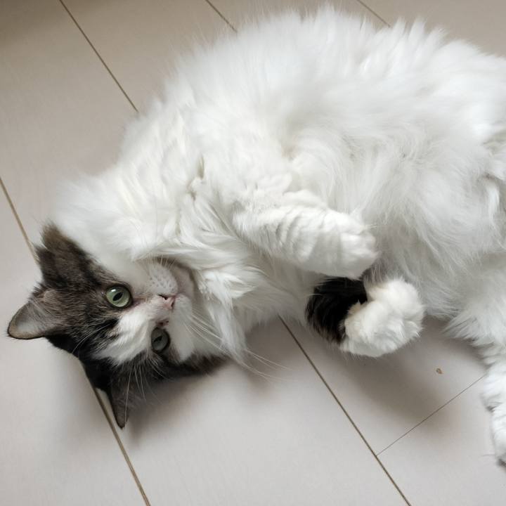 E82e6fe6 7d87 47f7 a33b 4754ed8c55c1 1759269322537