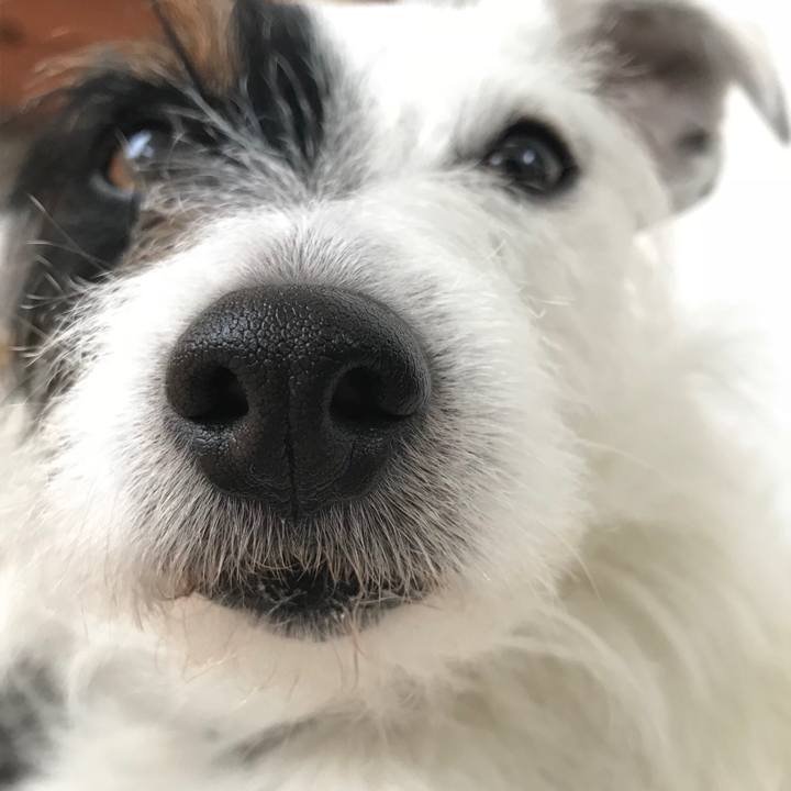 E82e8604 1c61 444c b62e 20ab7349c4eb 1523400988344