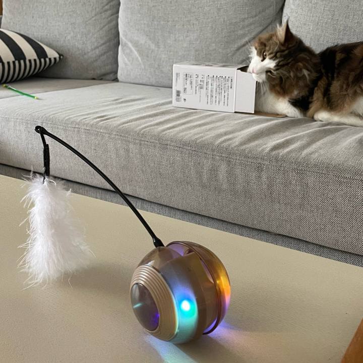 E82e9fdc 84de 4b8c 943c cdb234ca387d 1657749459166