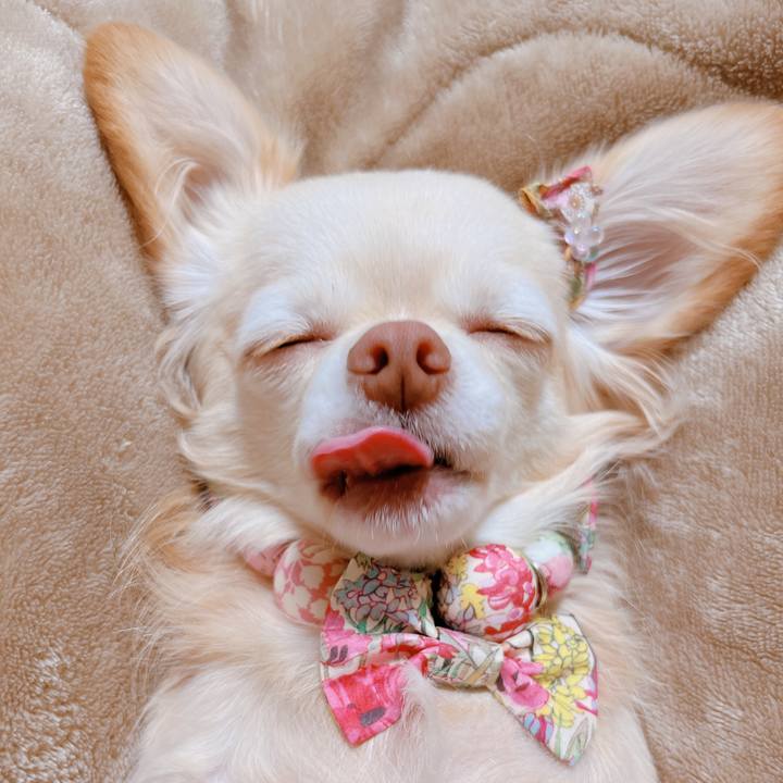 E82f2244 5958 442c b872 d7908a33d8e4 1668760224543