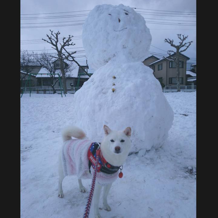 E82f3dcf 2447 4650 a4a8 81427e1bdb1e 1609489165165