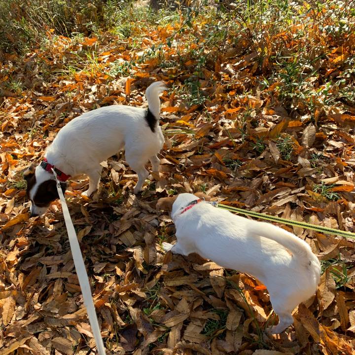 E82f4738 bef7 4ec7 b83b 635eaf71a3fe 1605943215467