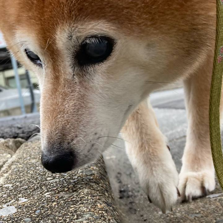 E82f516a c8f9 4245 8900 54859bbba222 1689208557581