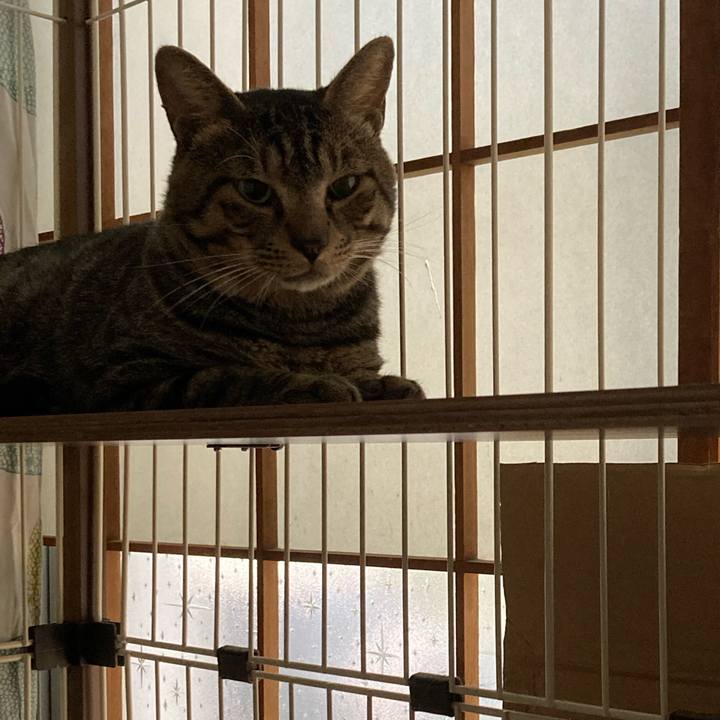 E82f6637 9e02 458e 96e5 d8b9f741b61b 1661557063288