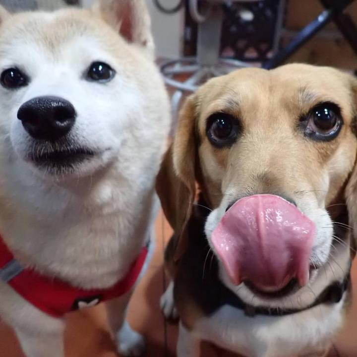 E82f7316 28f6 4812 907a 458725b8a427 1731620136494