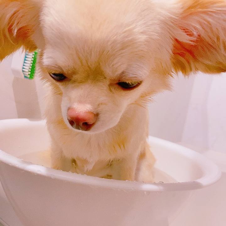 E8304551 bab7 43ef ac64 1f493e2fe222 1629115771205