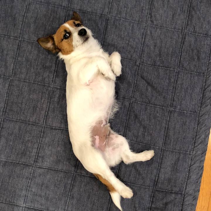 E8304ef8 fd49 4ab7 91f3 d0f9fbb834a6 1521810597294