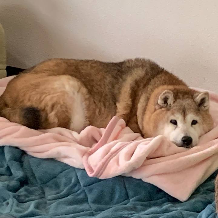 E8306300 0ff5 423f 81b1 889da06ff8bd 1648981381581