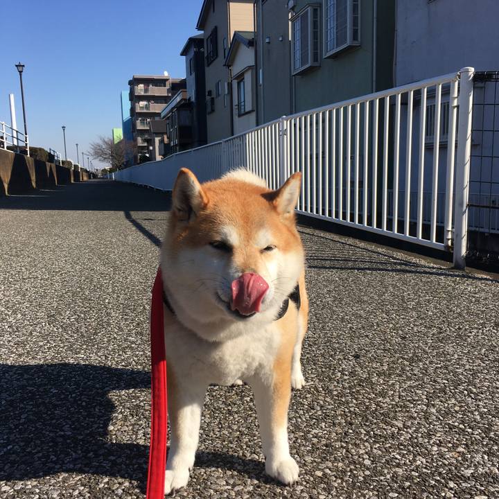 E830869d 67e5 4454 bff8 abb1740982cc 1576123091800