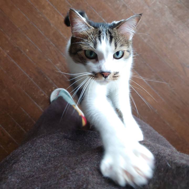 E83097f4 4b69 4ea2 84c9 6cb77f8ad01d 1763000371783