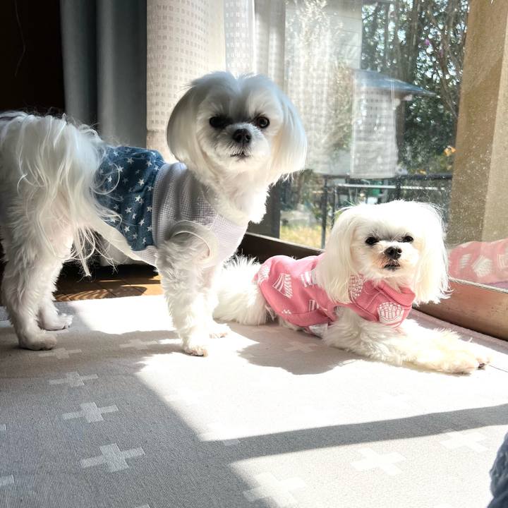 E8309c48 86bd 4ebf 9961 aea54cc88d3e 1774775112080