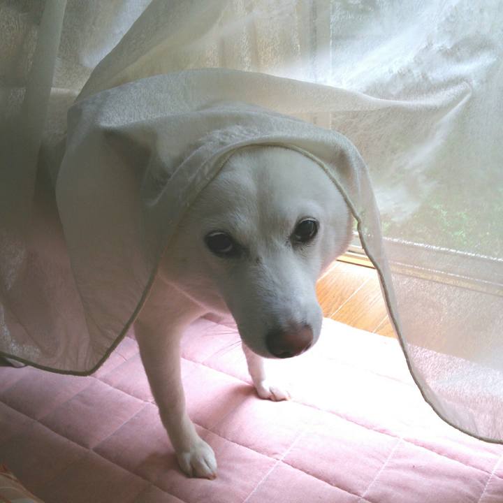 E830a709 e0d7 41e4 b334 2621aa895a4a 1561850596140