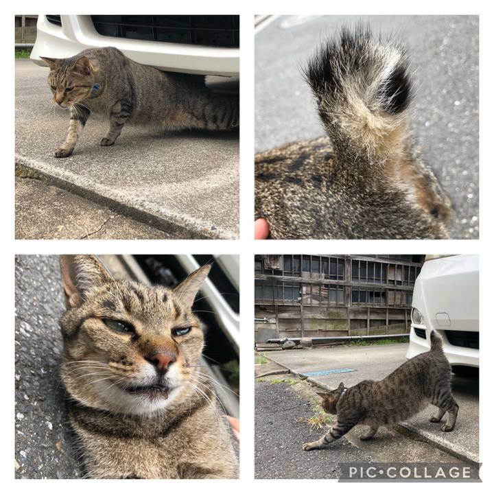 E830ed9b f76c 43b1 975e f079b5ab41b3 1630705118254