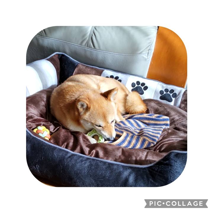 E831137f 9182 439e bc96 d785da8ebe85 1674620209195