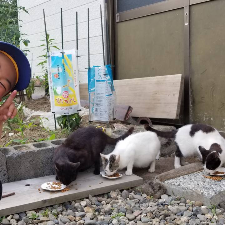 E831229e 1d7b 49e2 b59c 51e312e195ff 1562494059020