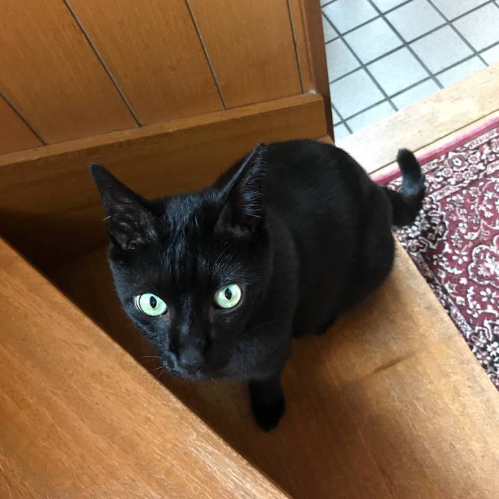 E83161c6 b325 4863 b1ec 546bb4dea766 1528939540534