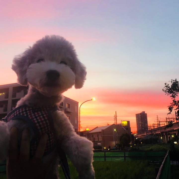 E8316c8b 6857 4773 8bbe 731313f6ac9f 1534775911968