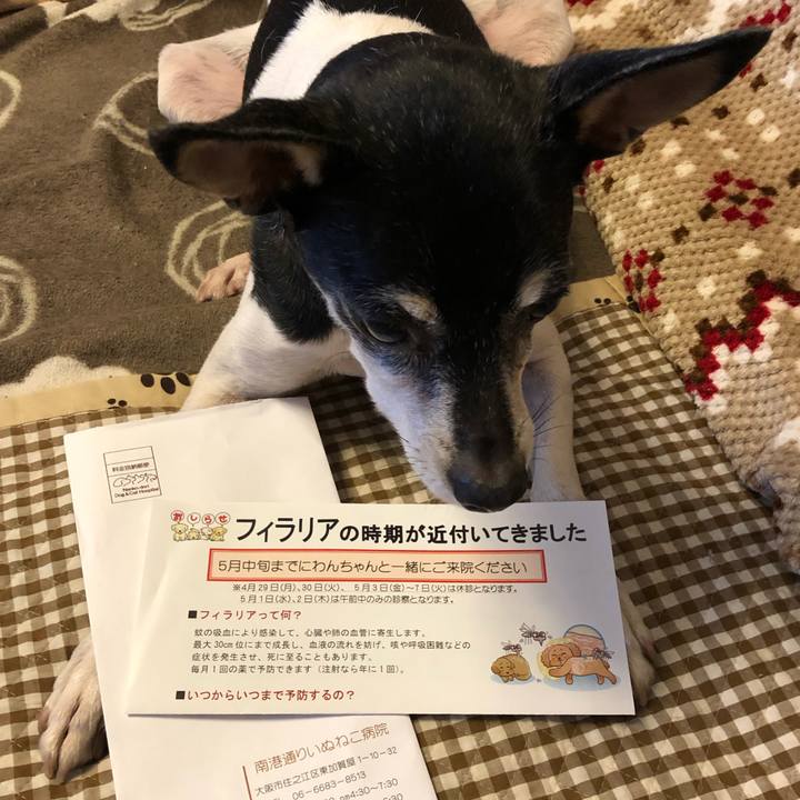 E8316fd5 872e 4911 8409 e42f0f671754 1552725536462