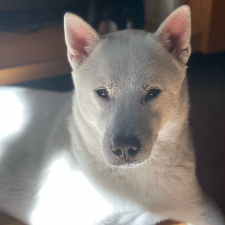 E8317a55 1a93 47a2 bae3 66f2ebd064f6 1667436976356