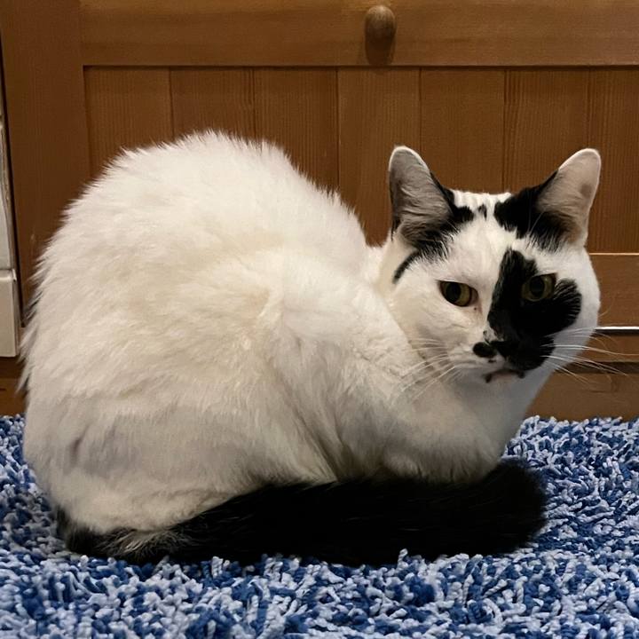 E831ad88 c1ce 4332 b4e4 2c7102f82b2a 1761057528900