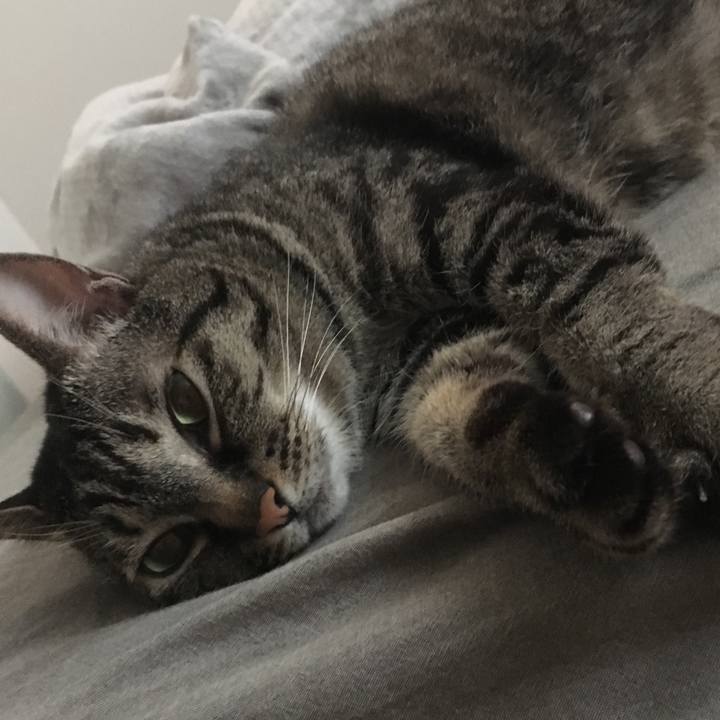 E831e14b c8a5 4c1b a219 87d5cd41d079 1592017052483