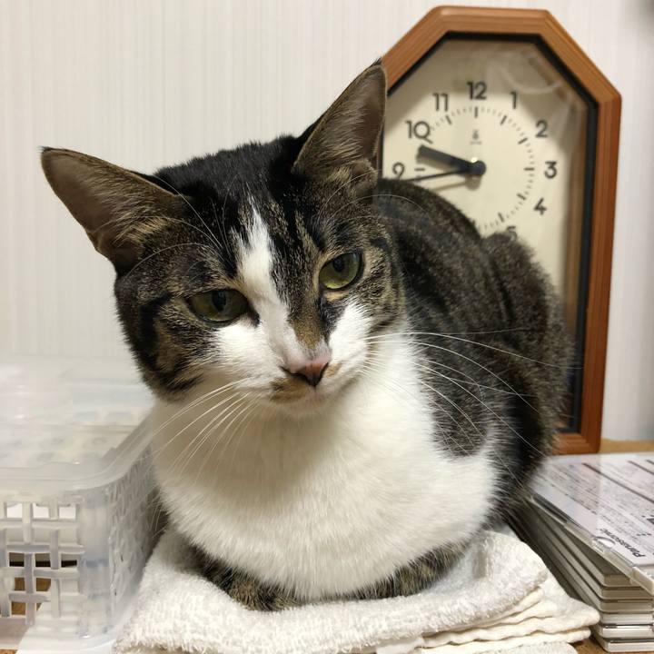 E83219bf fd54 439c 9d26 3c6f4eab3647 1515807352037