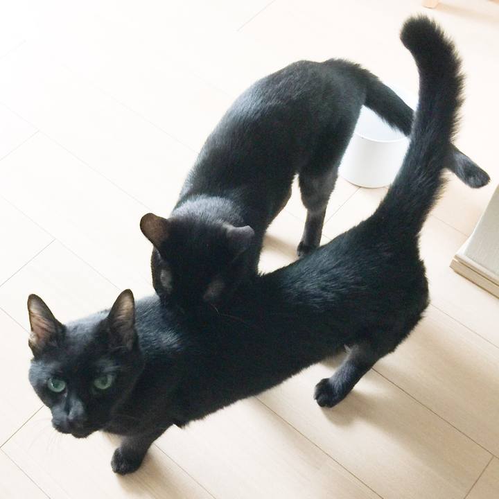 E8324f03 a325 47a1 9fd2 7d9d9b367893 1535775476430