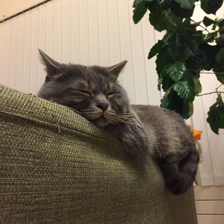 E8326787 ab4a 4420 8c2d 287eb87f8219 1517656107506