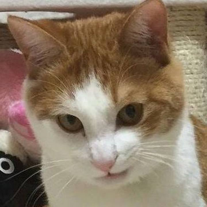 E83299d6 9271 4aec 9205 ef92ca74468c 1587430045394