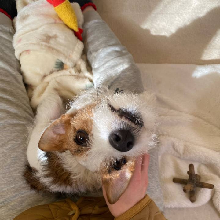 E832c39f 7724 45d1 9aea eea77b3d5d1b 1740530039643