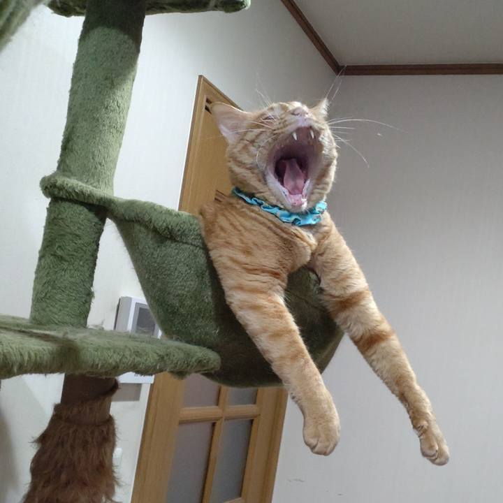 E832d1f1 be6a 4fd2 a2db af0d7d70c0c5 1731842074706