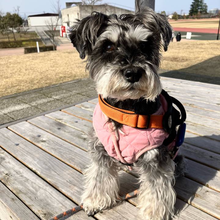 E832d8e0 7b6f 4ad4 9a6b 6cd511f9da1a 1774144492063