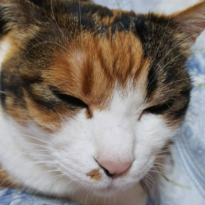 E832fa8e 441f 4850 8262 0ce68f6395e9 1543624817242