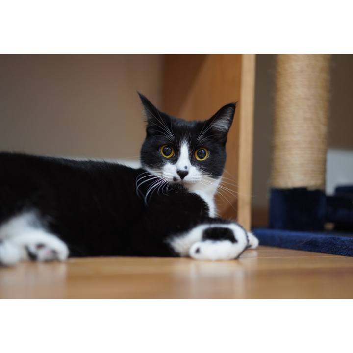 E8330ca3 48d8 4d29 a573 0d02c72b9ccf 1626955365601