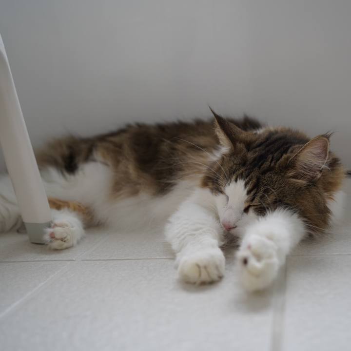 E8331756 77d7 4009 b98b 9703edf7e962 1599106660316